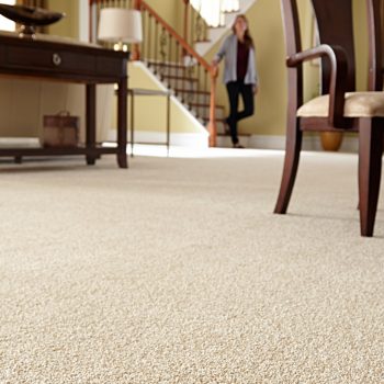 carpet floor 2